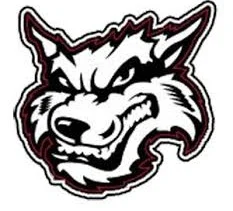 Wiley MS